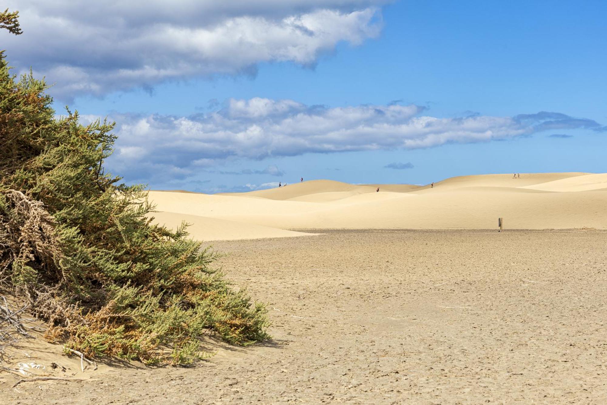 Smartr Maspalomas Corinto Playa del Ingles  Bagian luar foto